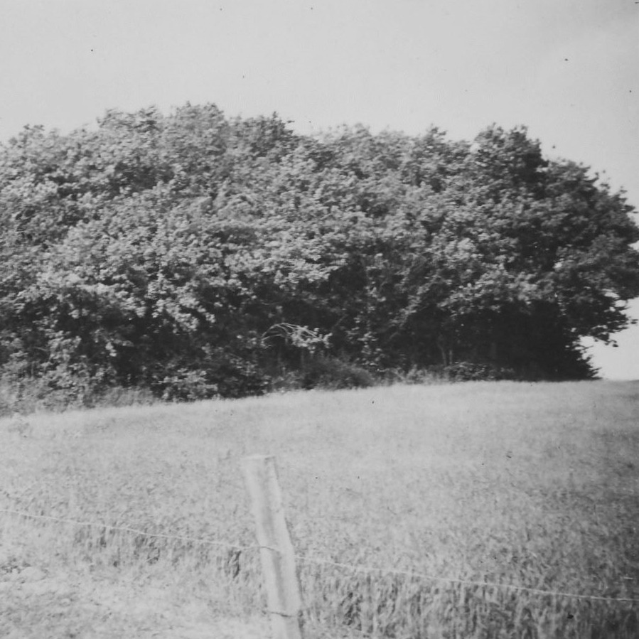 Ashøj
